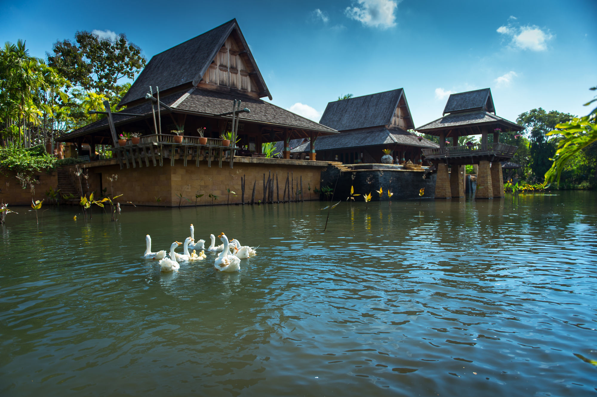 Howie'S Homestay Mae Rim Exterior foto